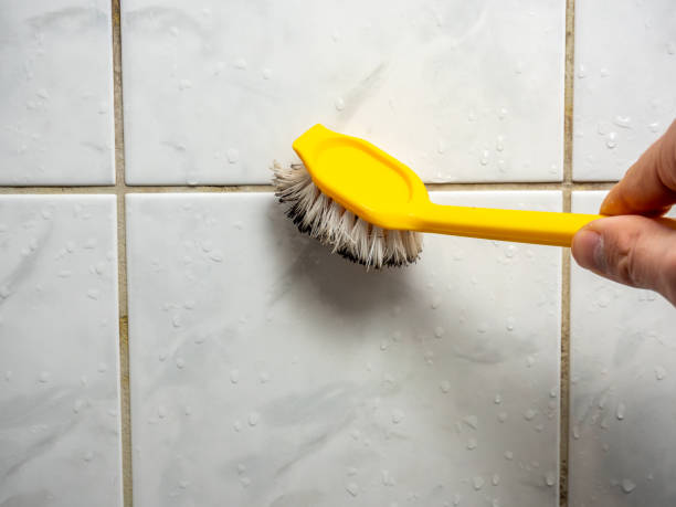 Best Best Mold Removal Companies  in Flushing, MI
