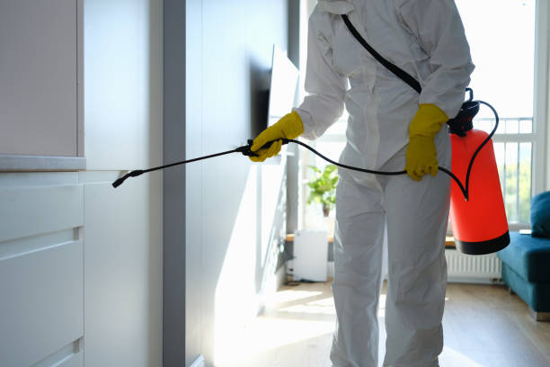 Best Emergency Mold Removal  in Flushing, MI