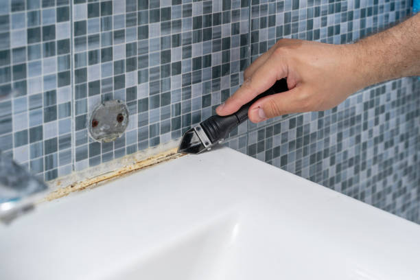 Best Black Mold Removal  in Flushing, MI
